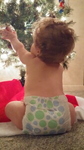 Grabbing at the tree